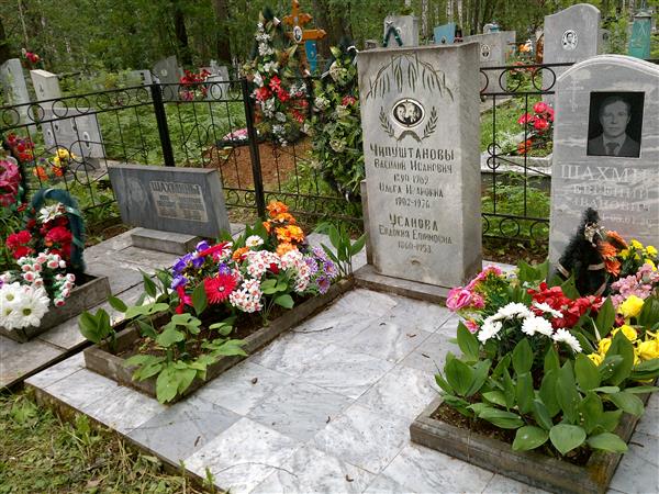 Шахмин Евгений Иванович