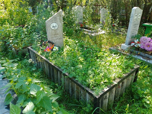 Воронин Николай Александрович