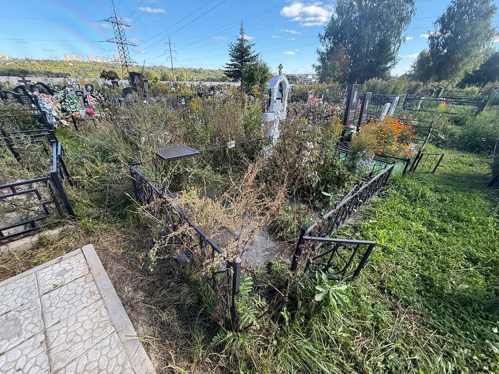 Андреева Мария Николаевна