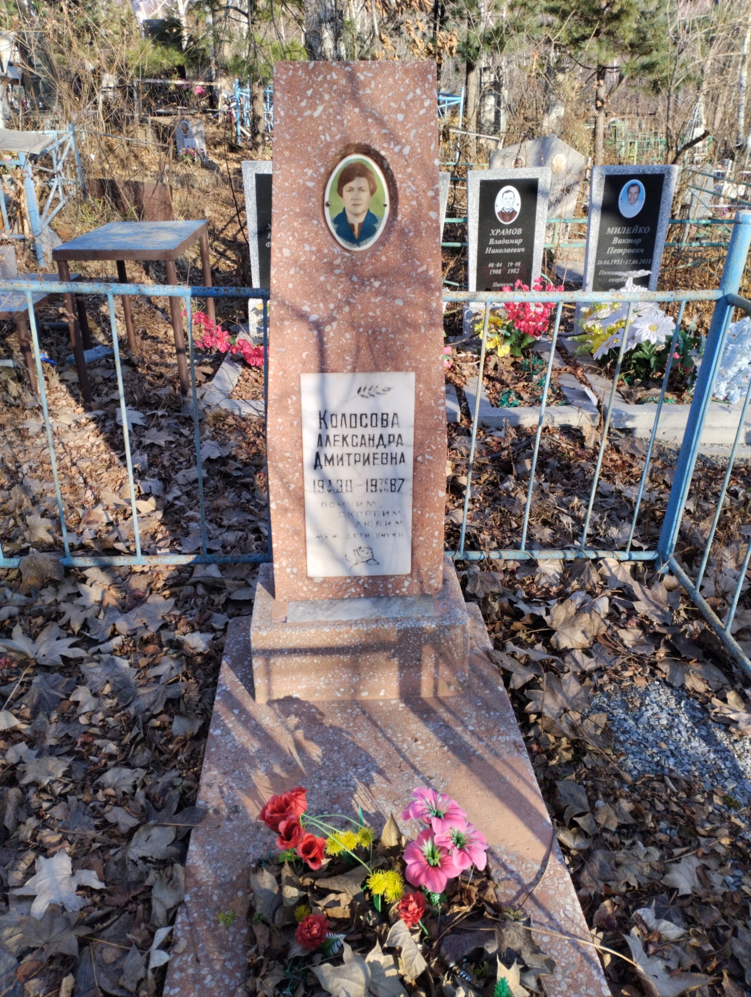 Колосова Александра Дмитриевна