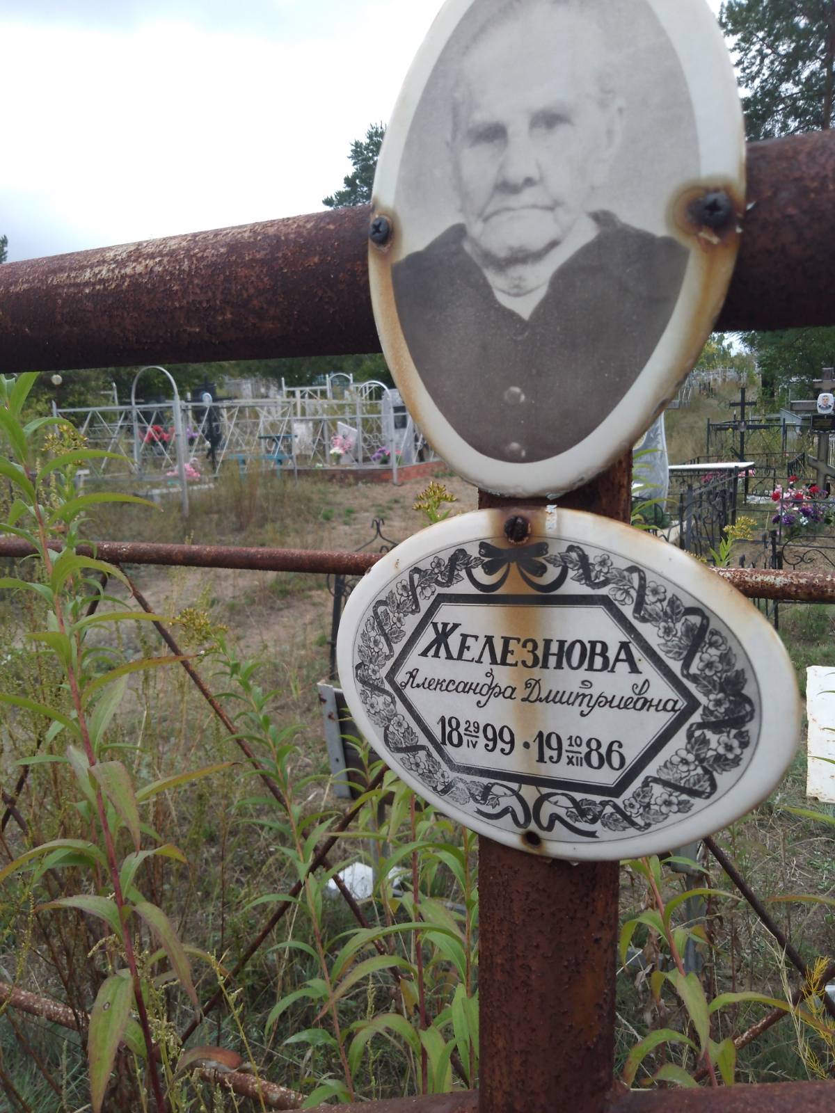 Железнова Александра Дмитриевна