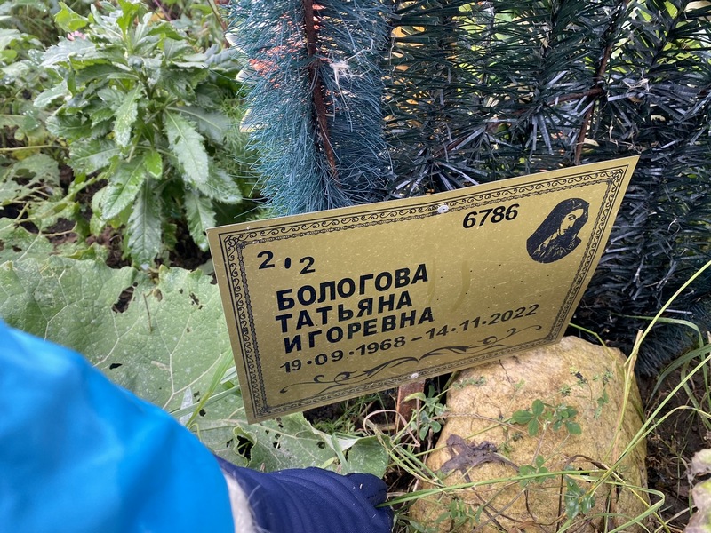 Бологова