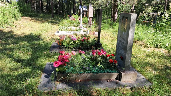 Воронов Александр Васильевич