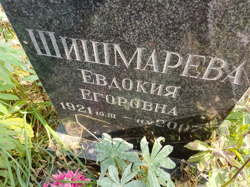 Шишмарева
