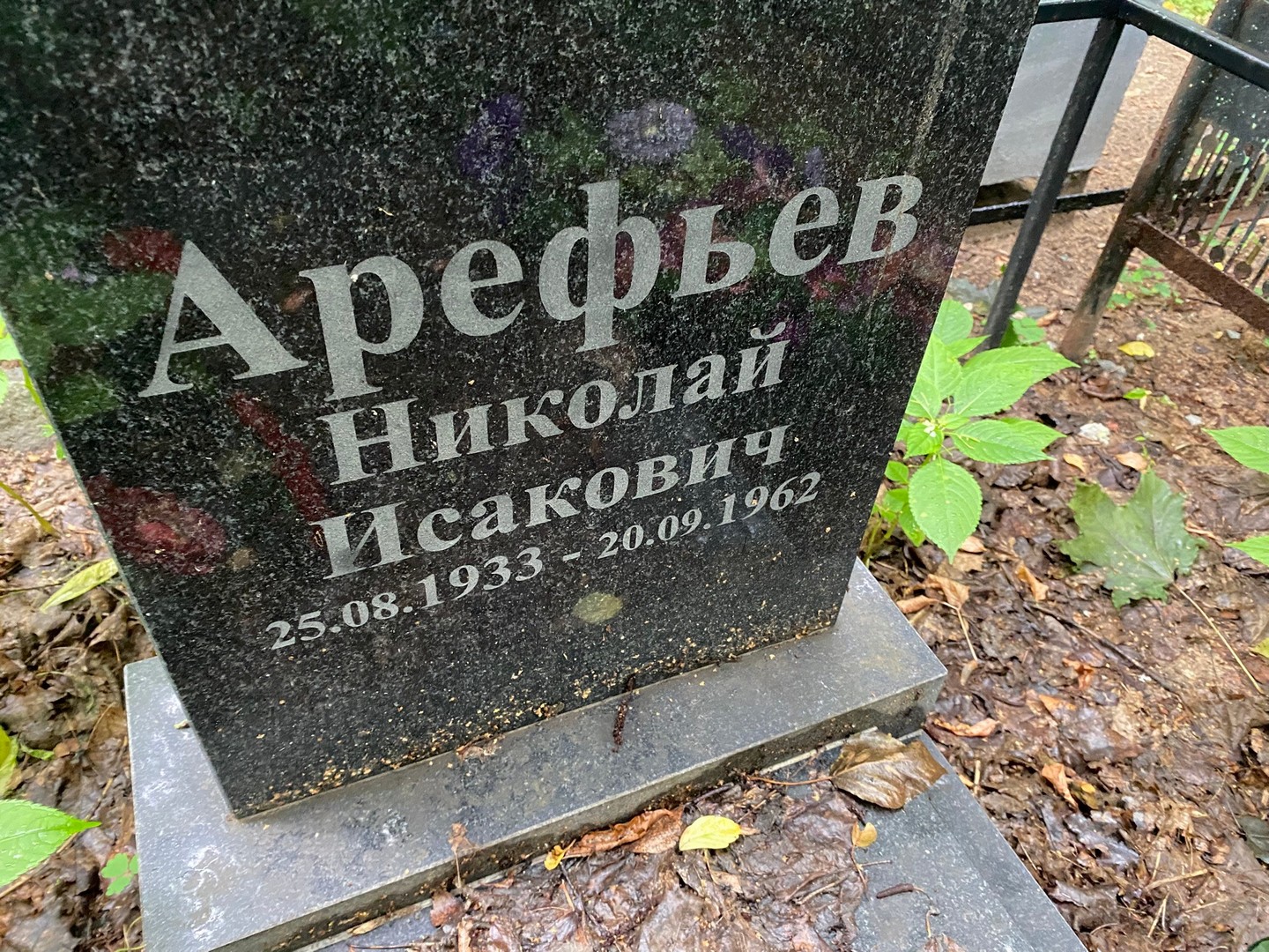 Арефьев