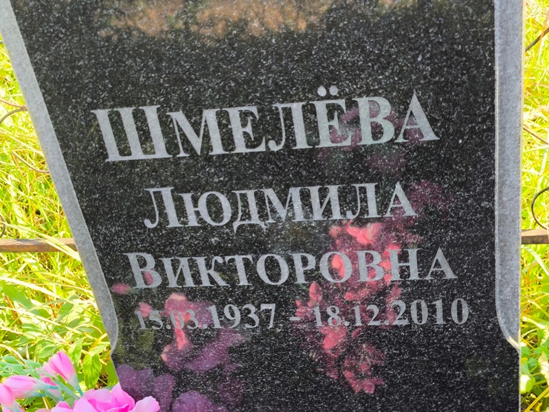 Шмелева