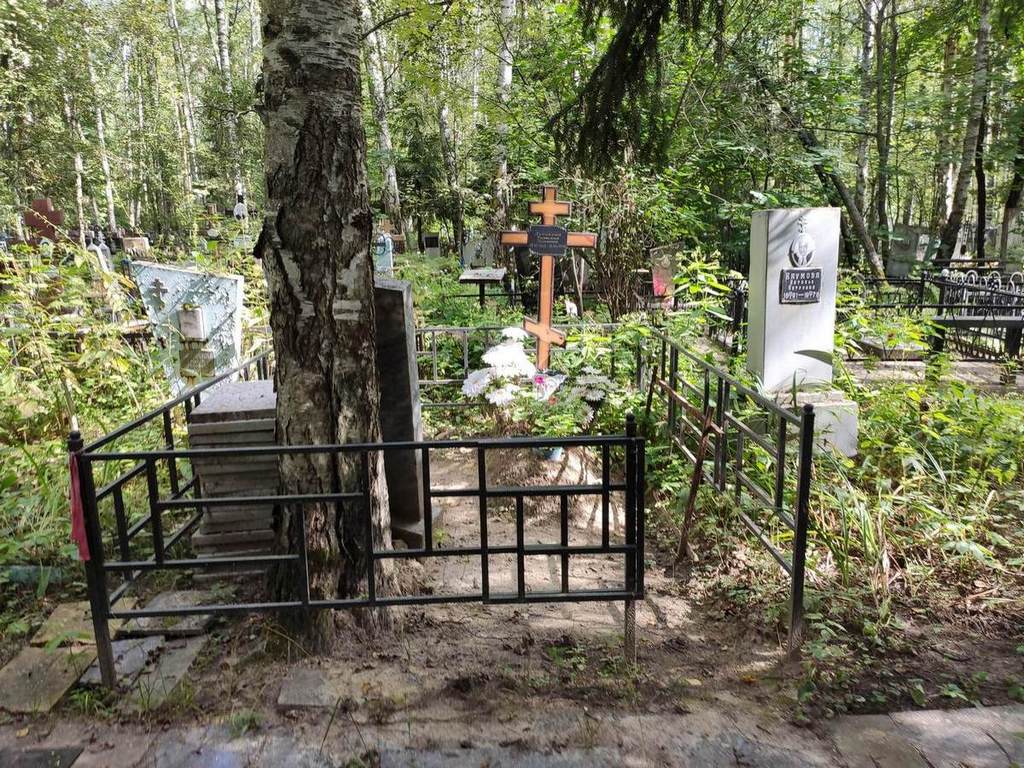 Луньков Владимир Владимирович