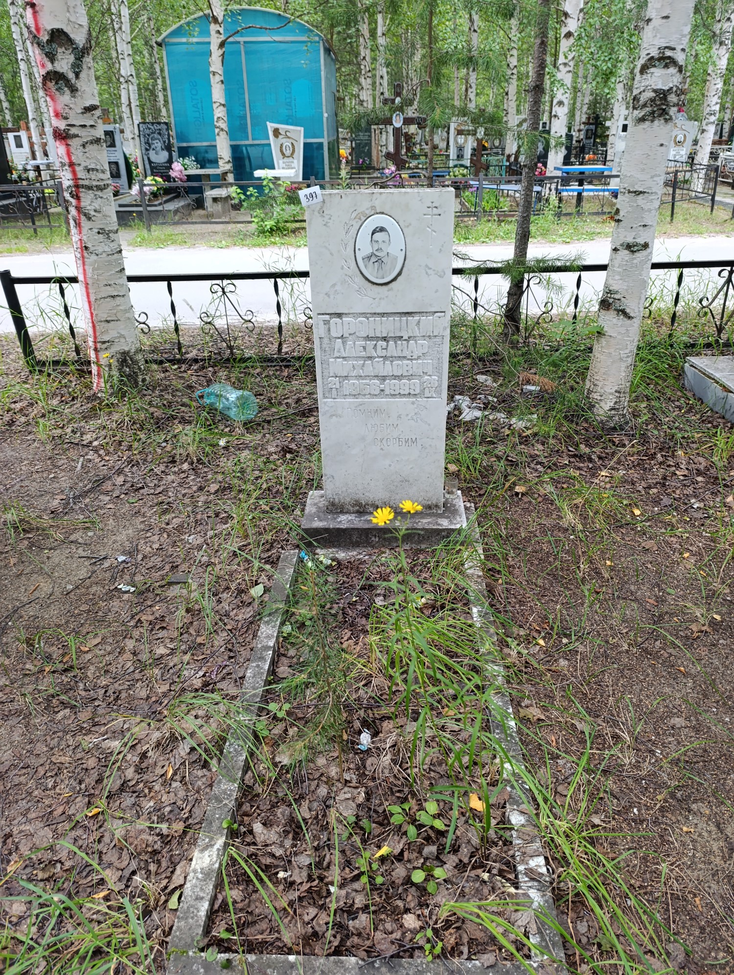 Гороницкий Александр Михайлович