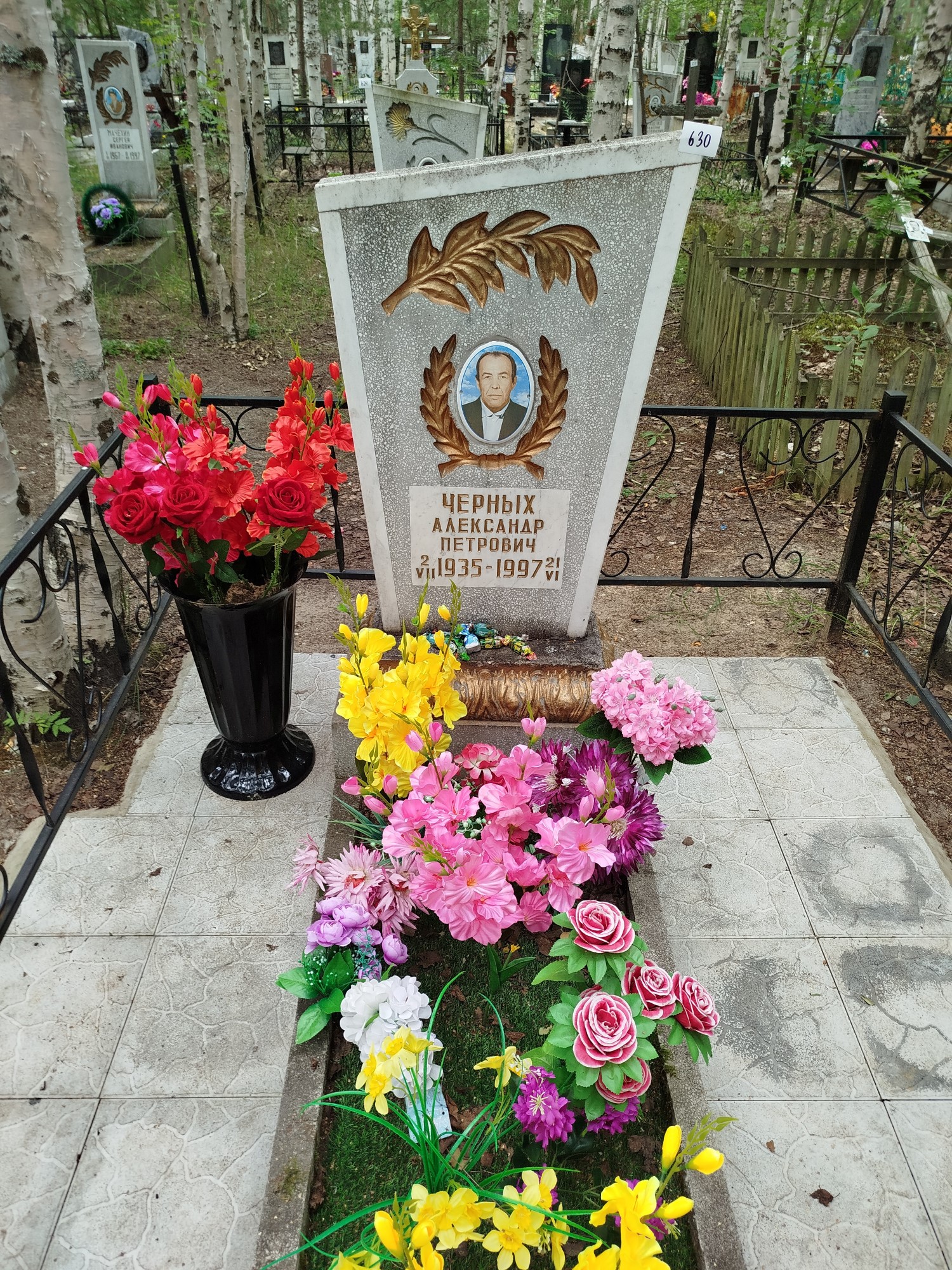 Черных Александр Петрович