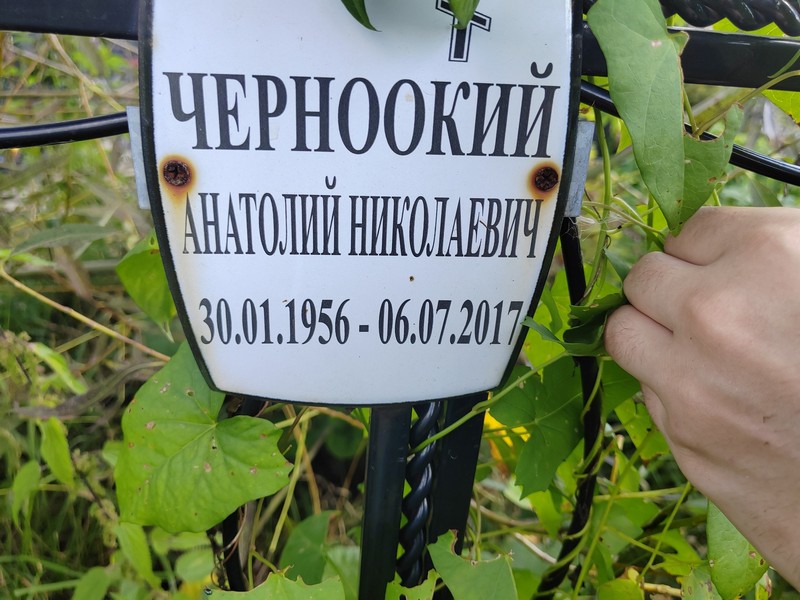 Черноокий
