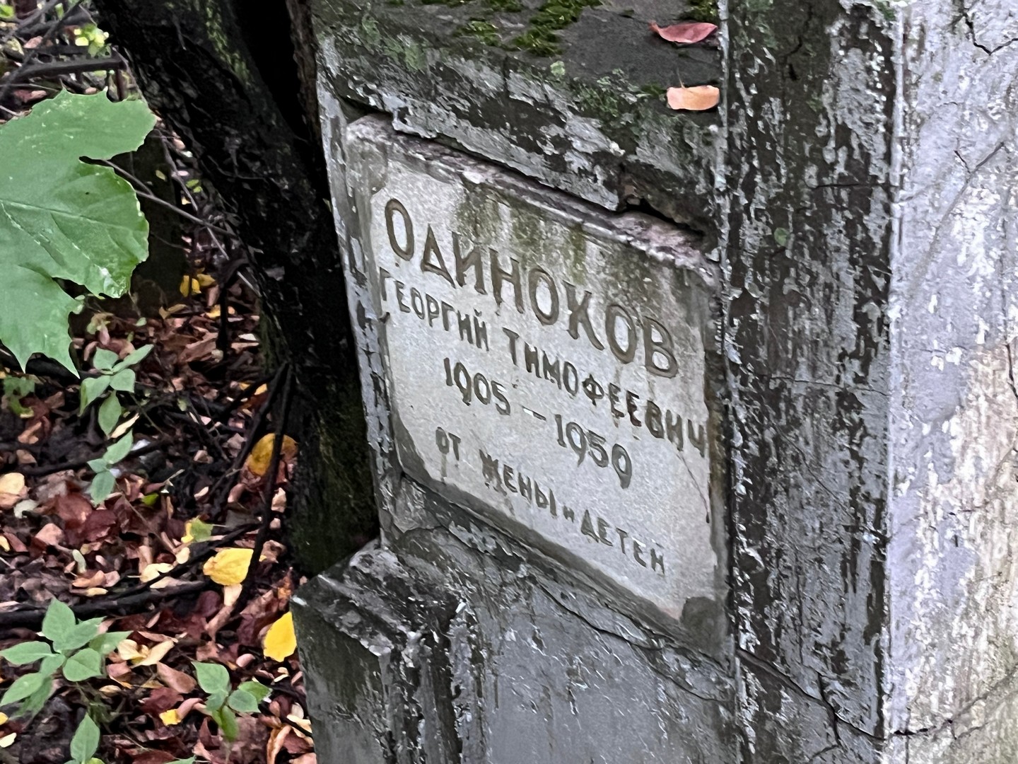 Одиноков