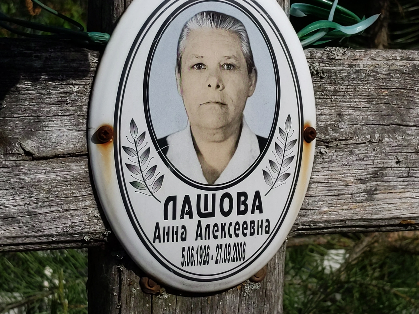 Лашова Анна Алексеевна