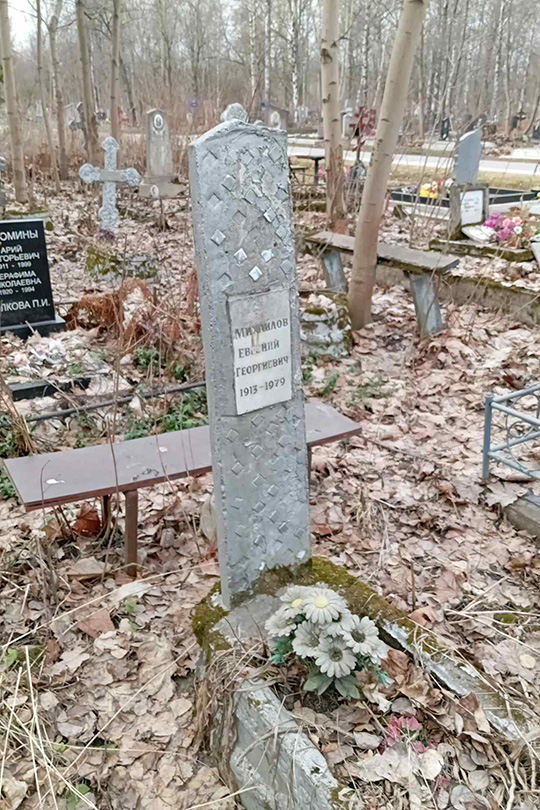 Михайлов Евгений Георгиевич