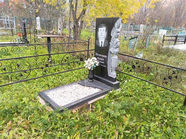 Несмеянов Валерий Петрович