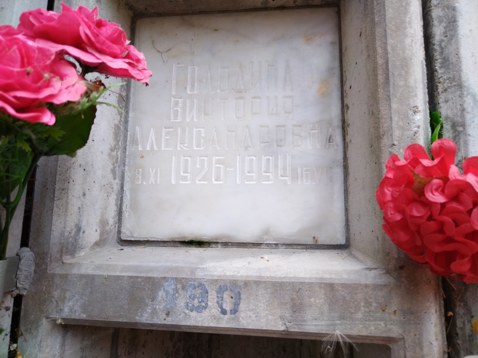 Гольдина Виктория Александровна