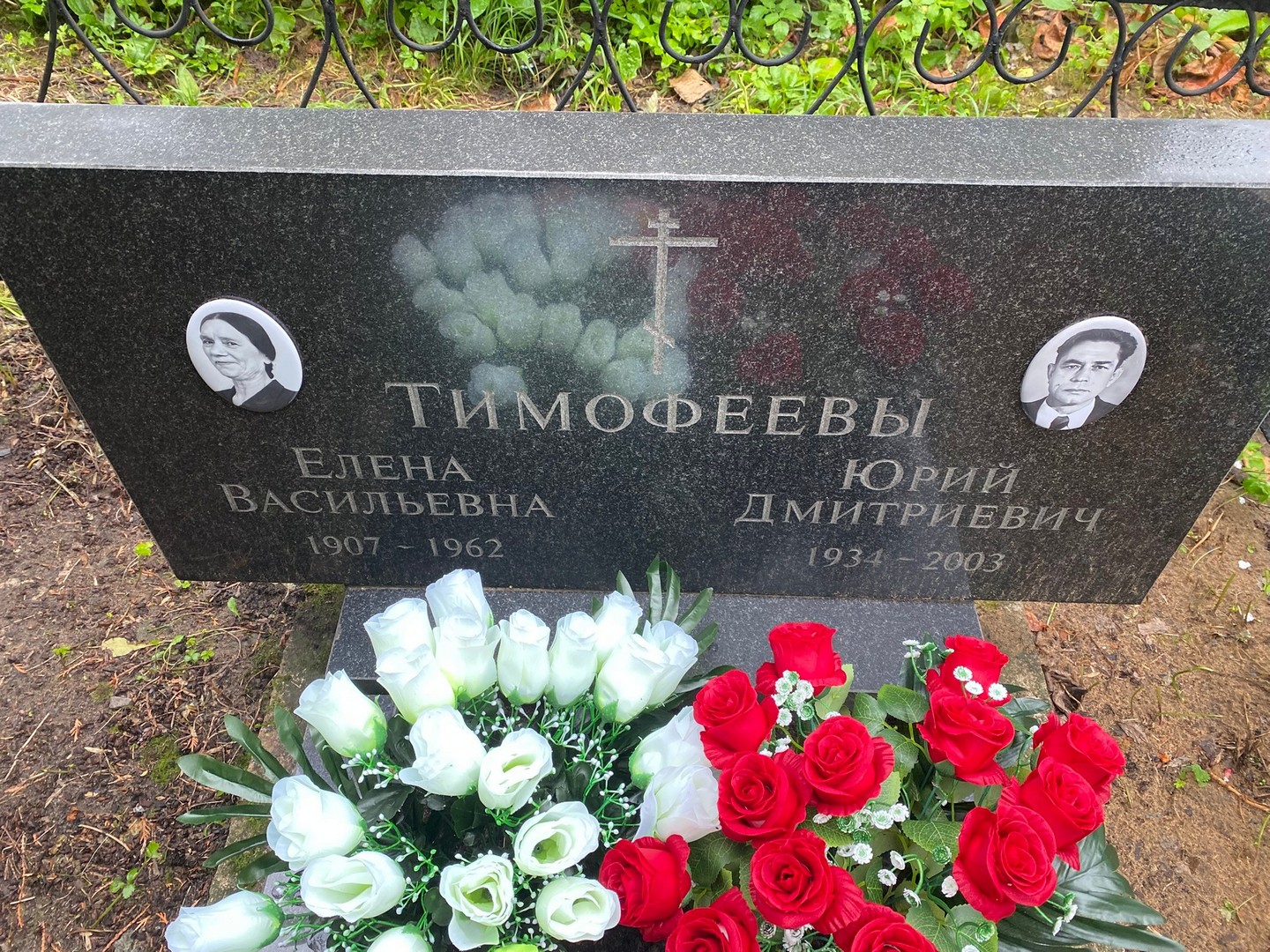 Тимофеева