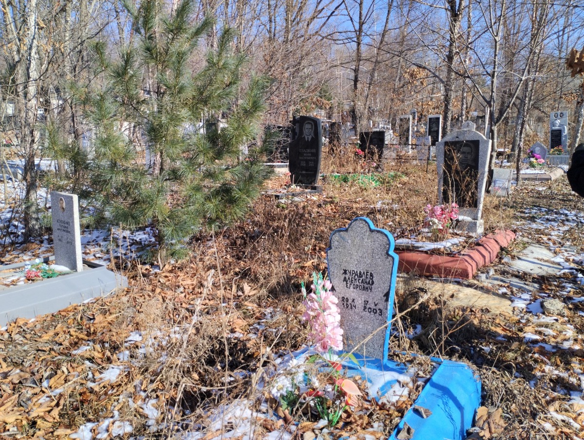 Журавлёв Александр Егорович