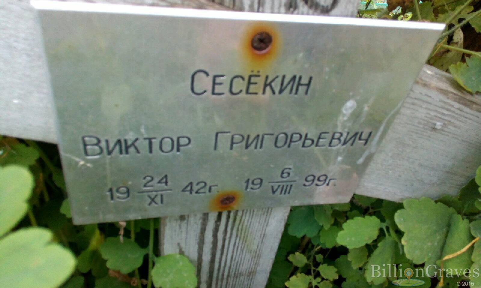 Сесёкин Виктор Григорьевич