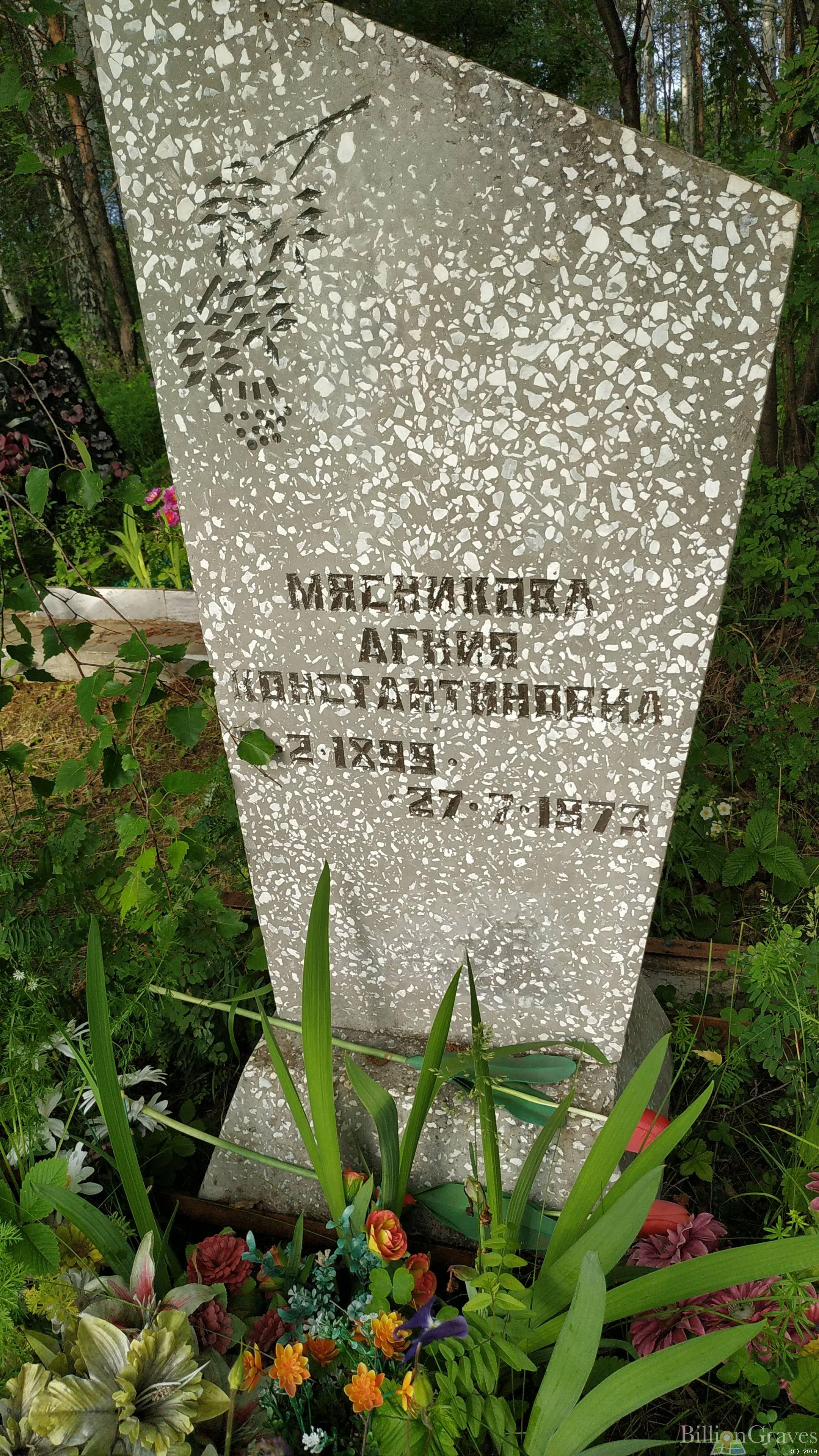 Мясникова Агния Константиновна