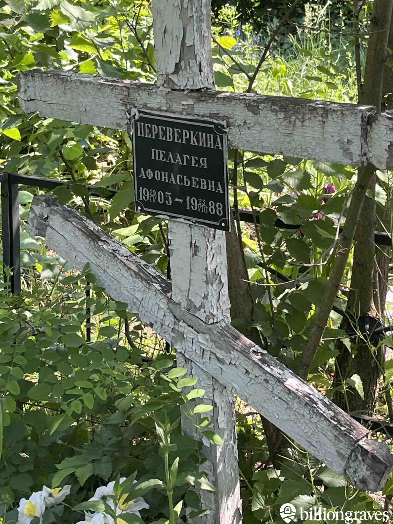 Перевёрткина Пелагея Афонасьевна