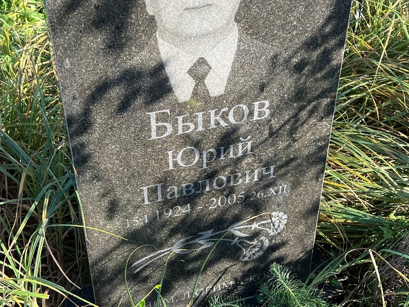 Быков