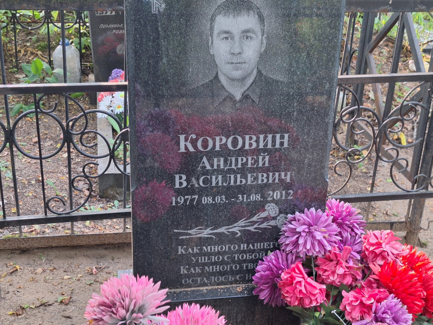 Коровин