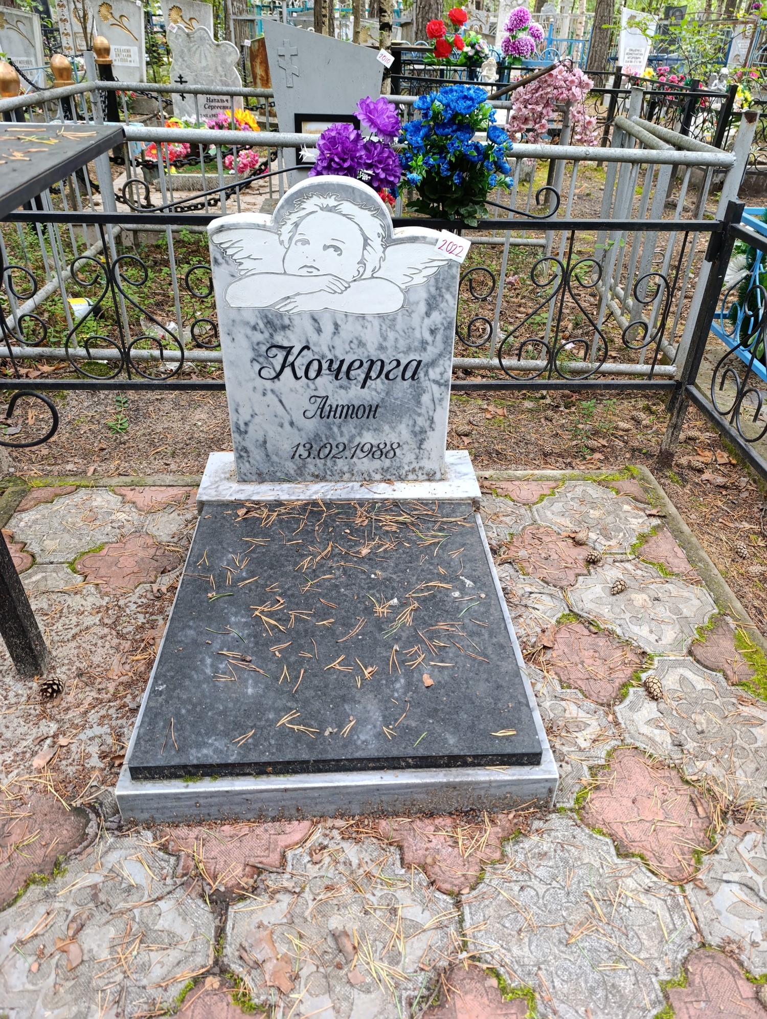 Кочерга Антон