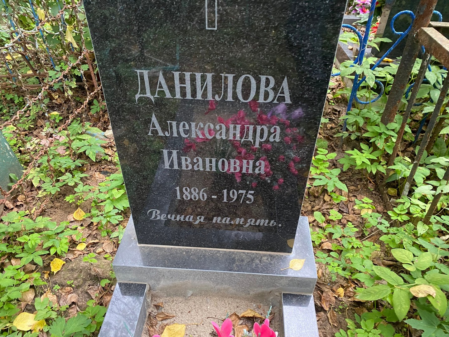 Данилова Александра Ивановна