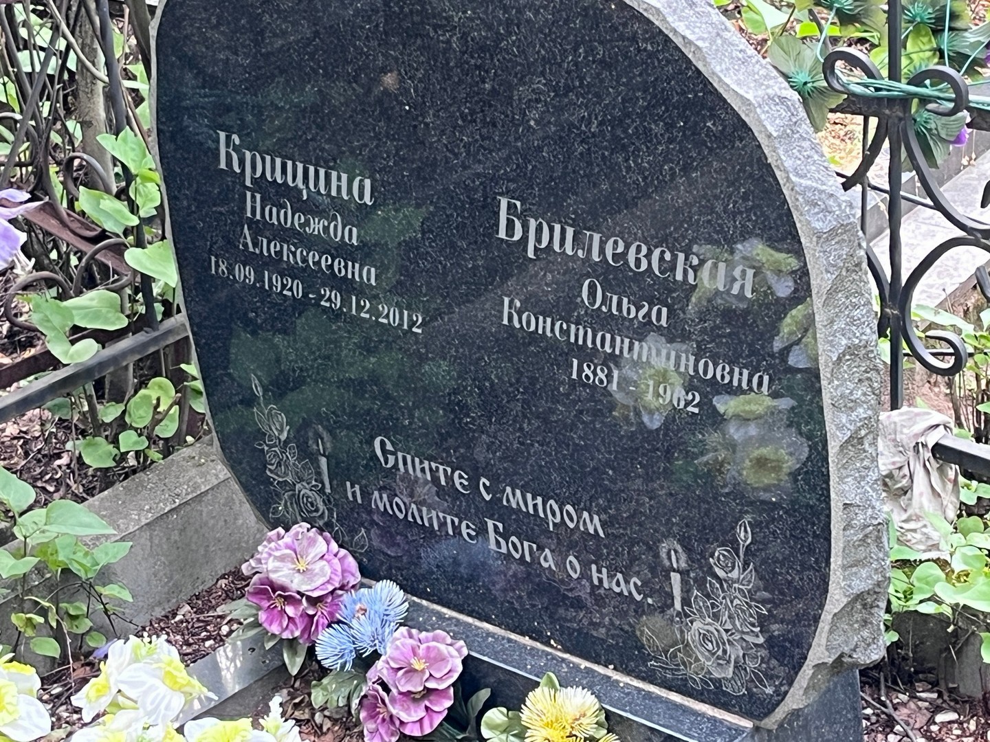 Крицина
