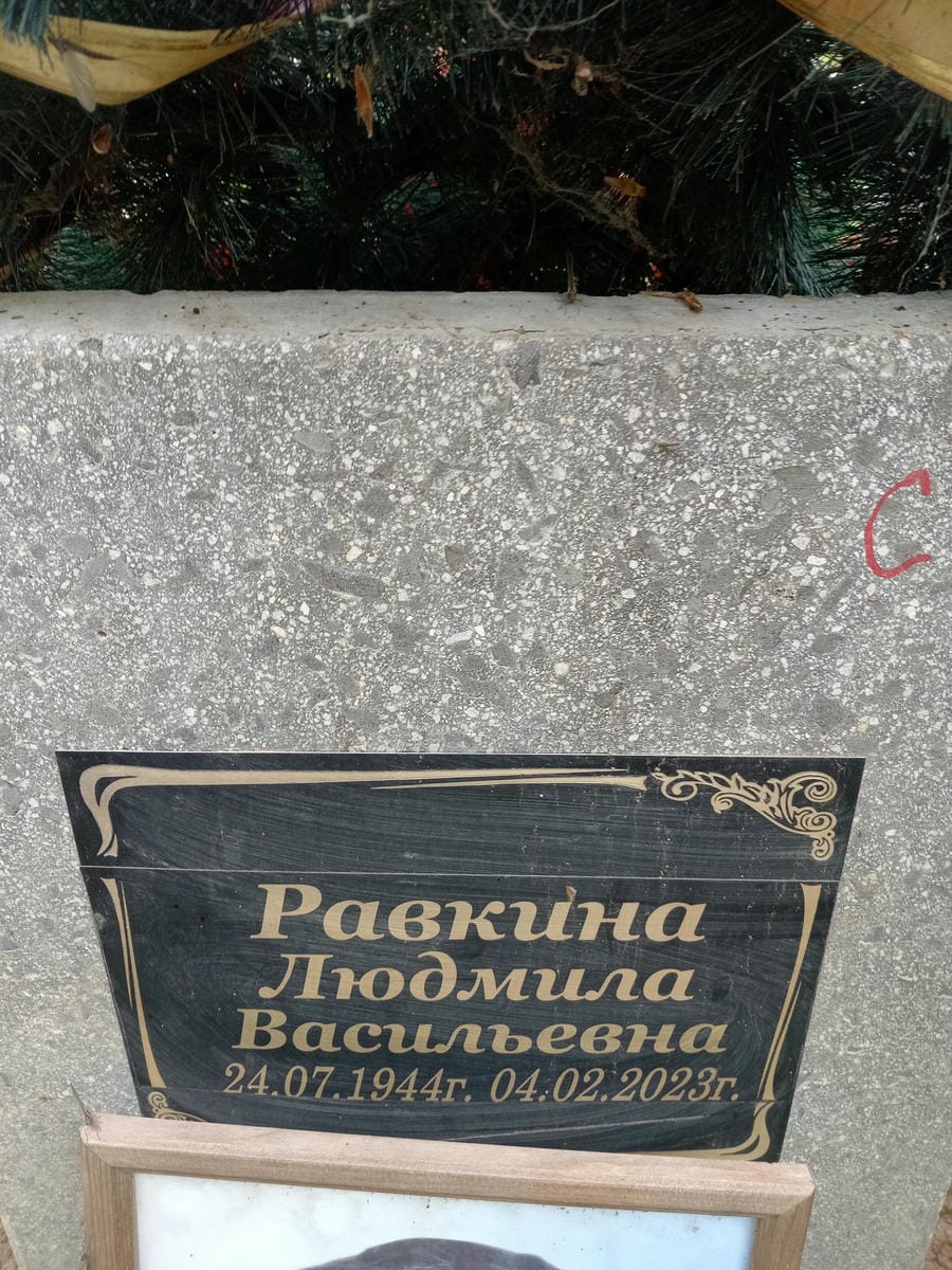 Равкина Людмила Васильевна