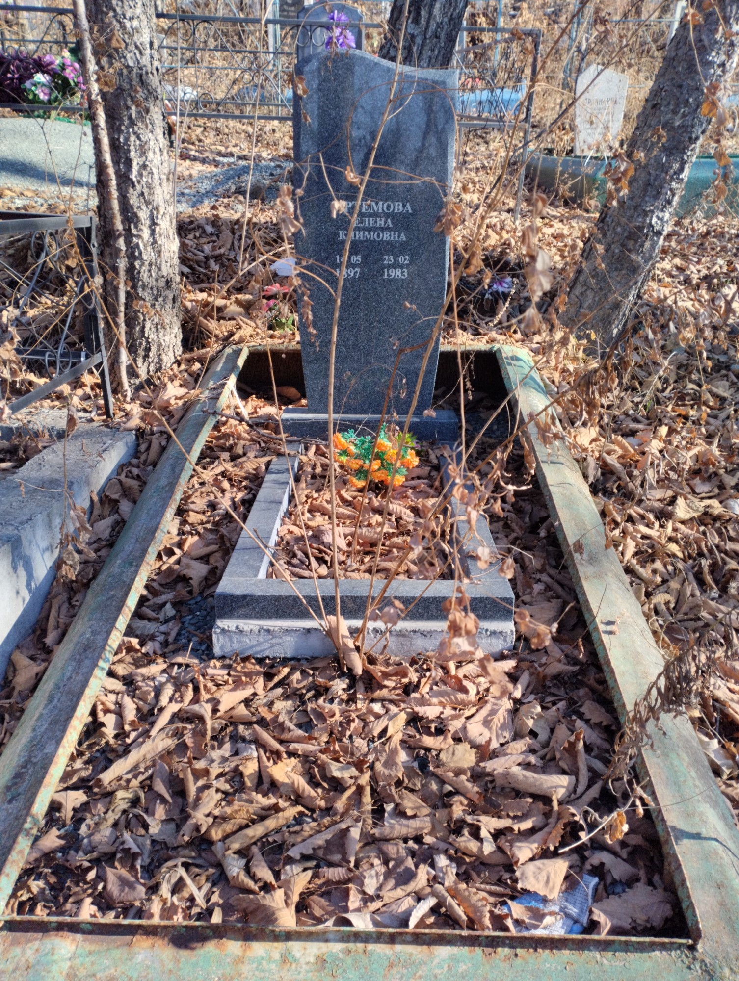 Артемова Елена Климовна