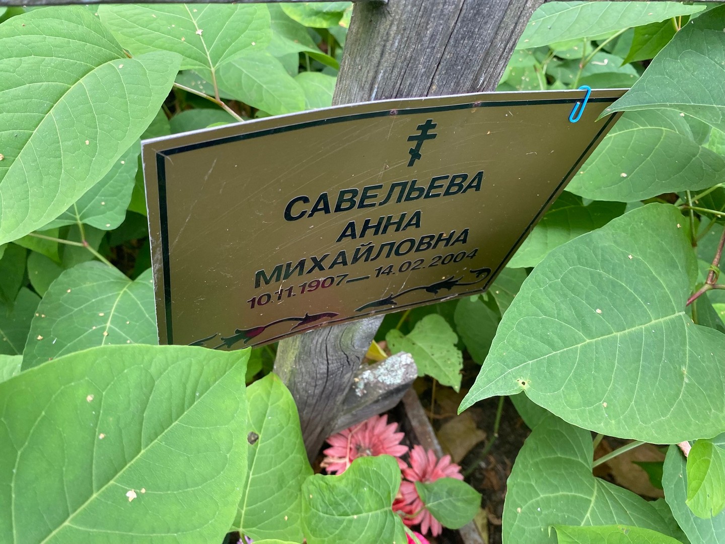 Савельева