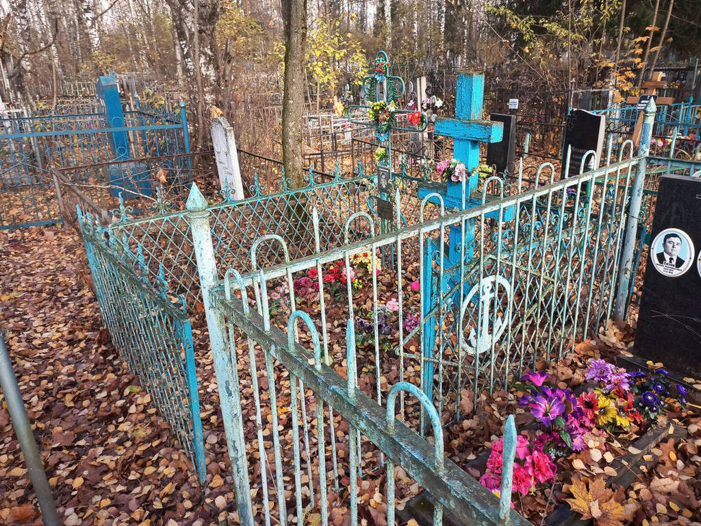 Новиков М С