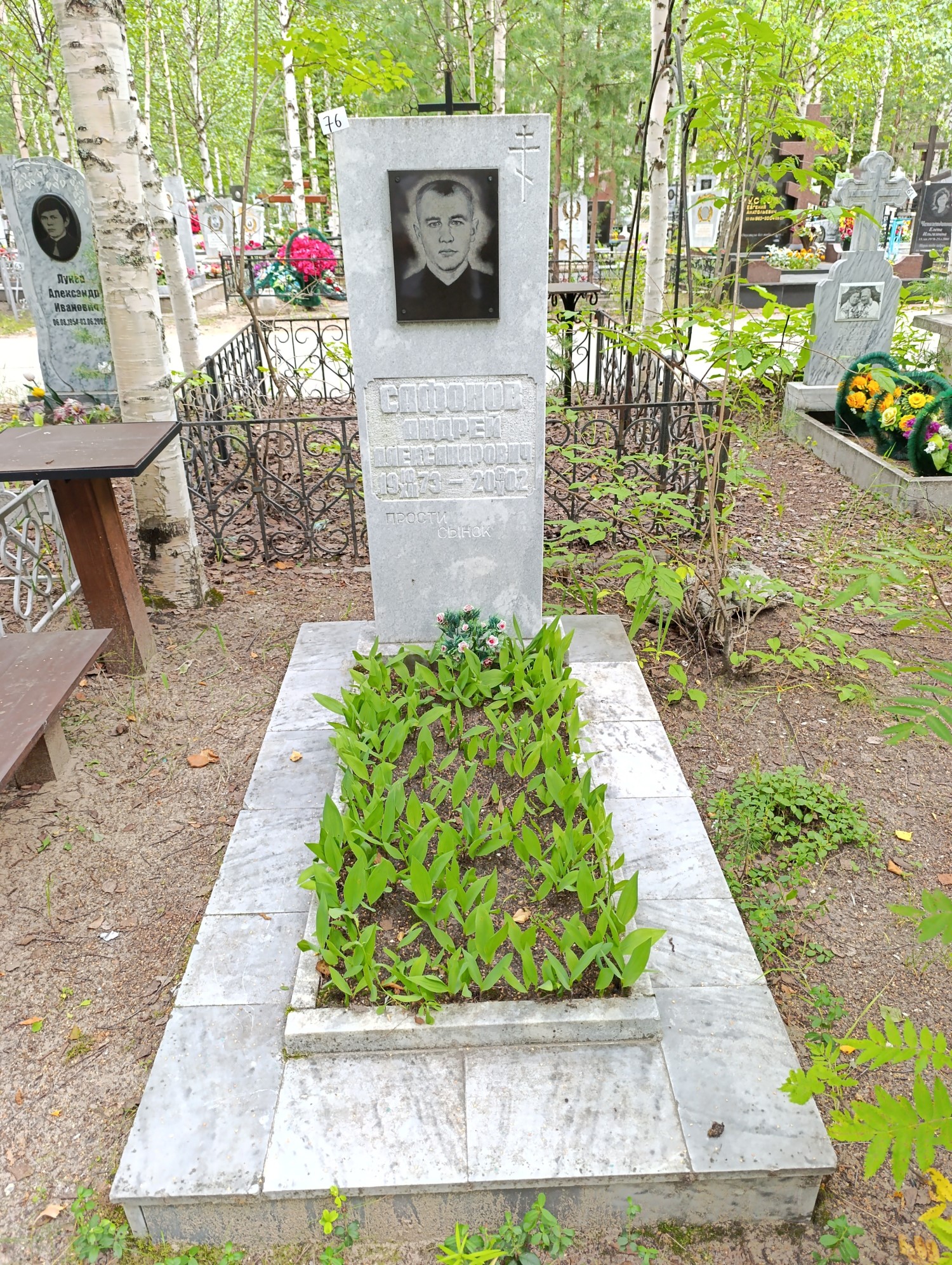 Сафонов Андрей Александрович