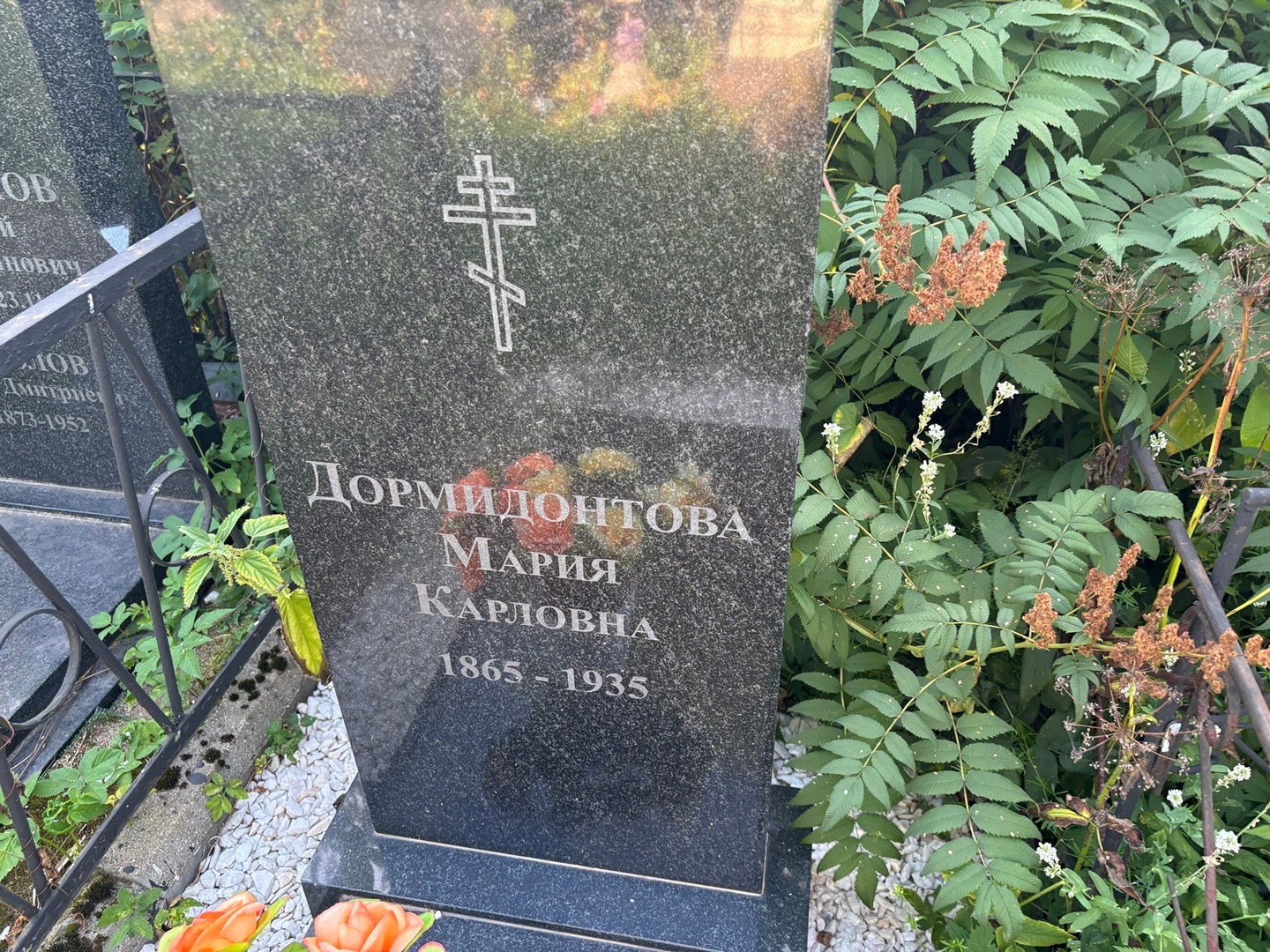 Дормидонтова