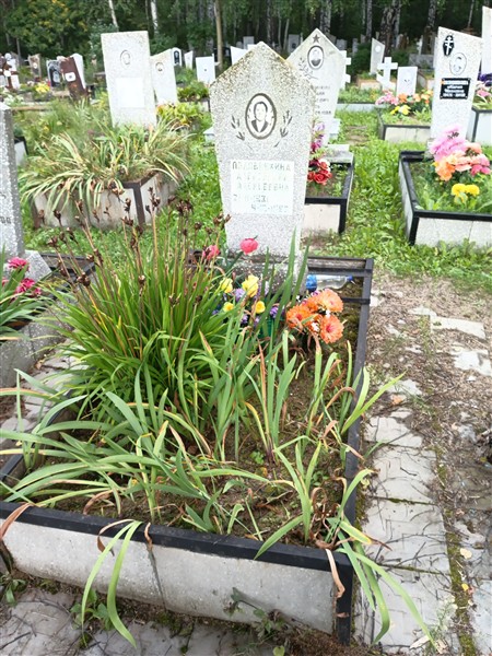 Половинкина Александра Алексеевна