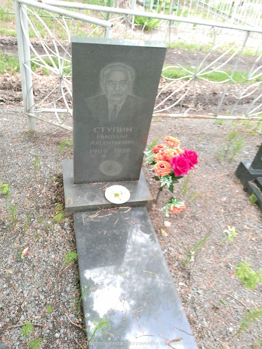Ступин Николай Арсентьевич