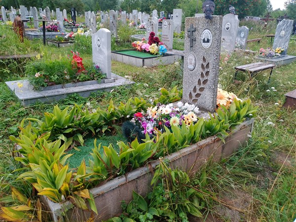 Чугайнов Алексей Николаевич