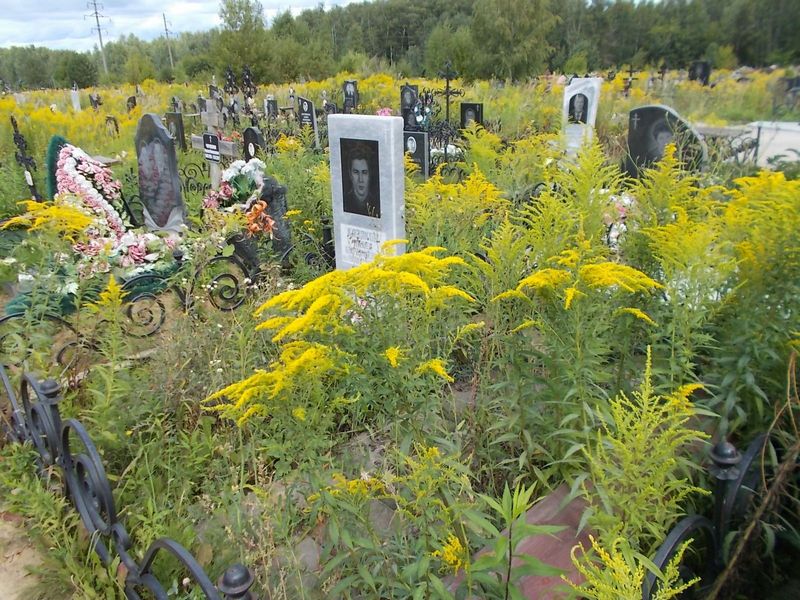 Казаков Павел Евгеньевич