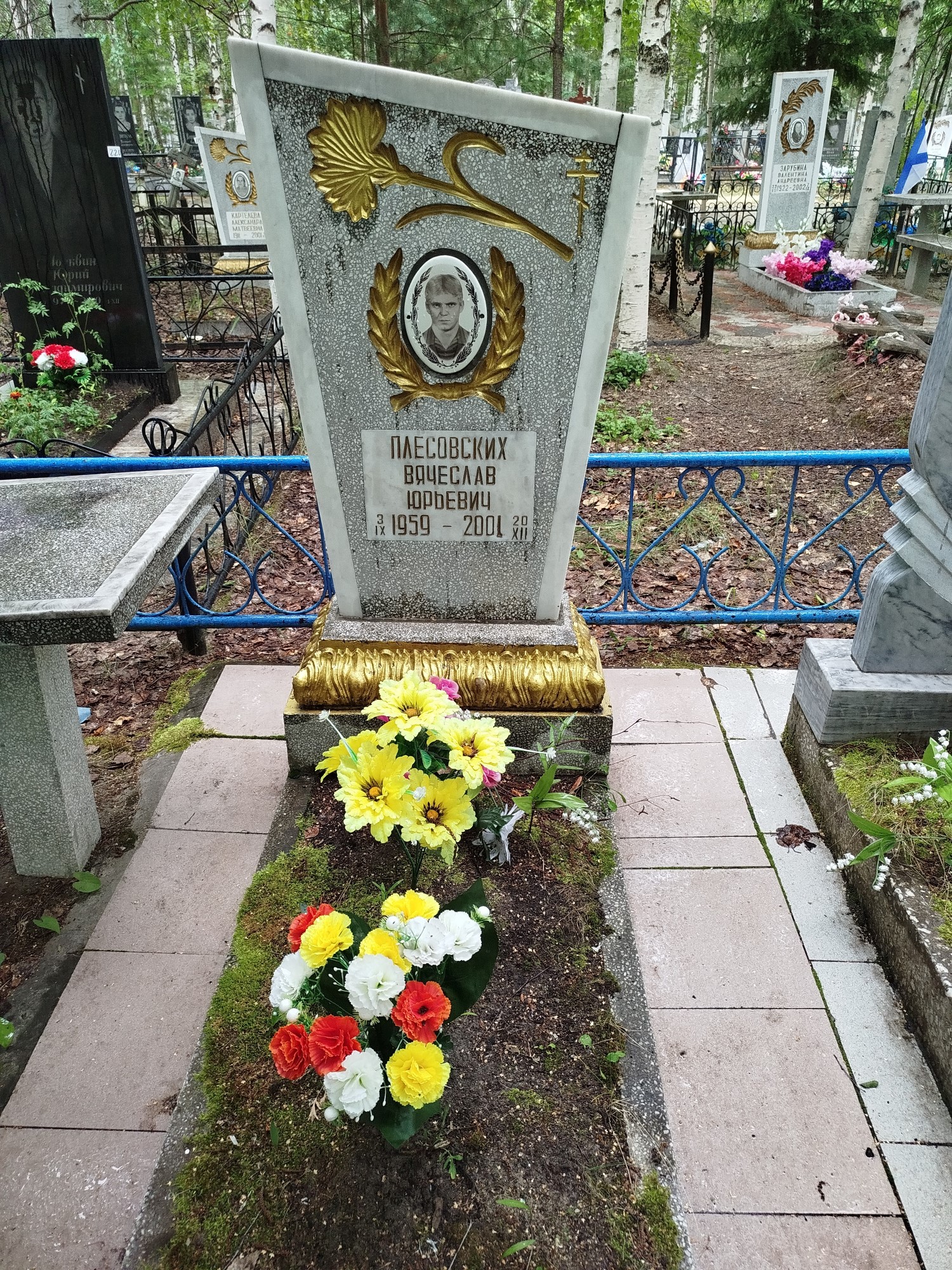 Плесовских Вячеслав Юрьевич
