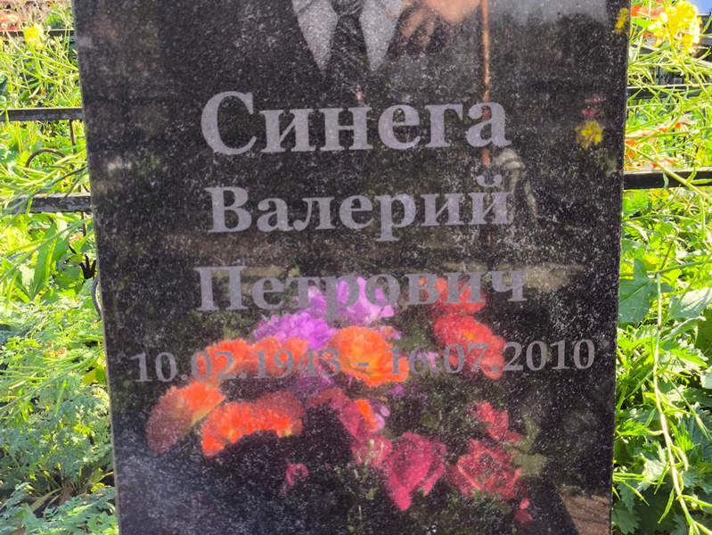 Синега