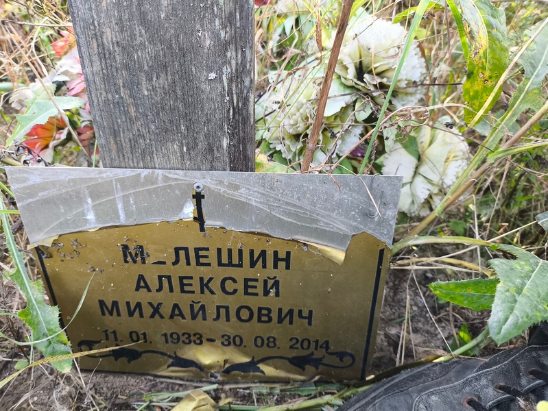 Мелешин
