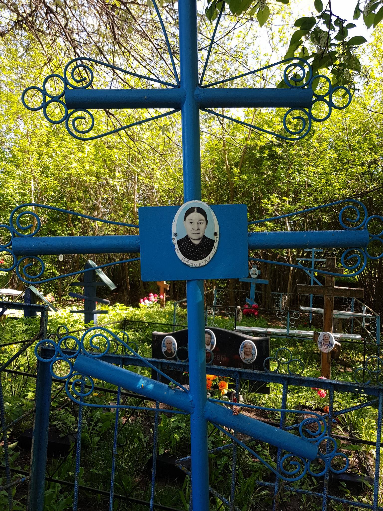 Надёжкина В А
