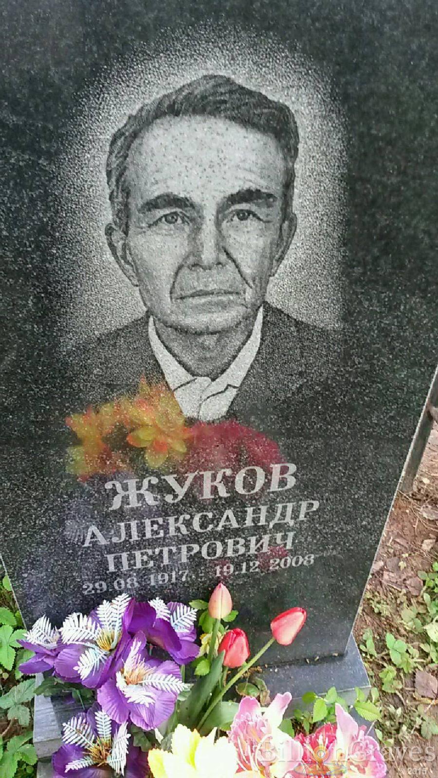 жуков александр петрович