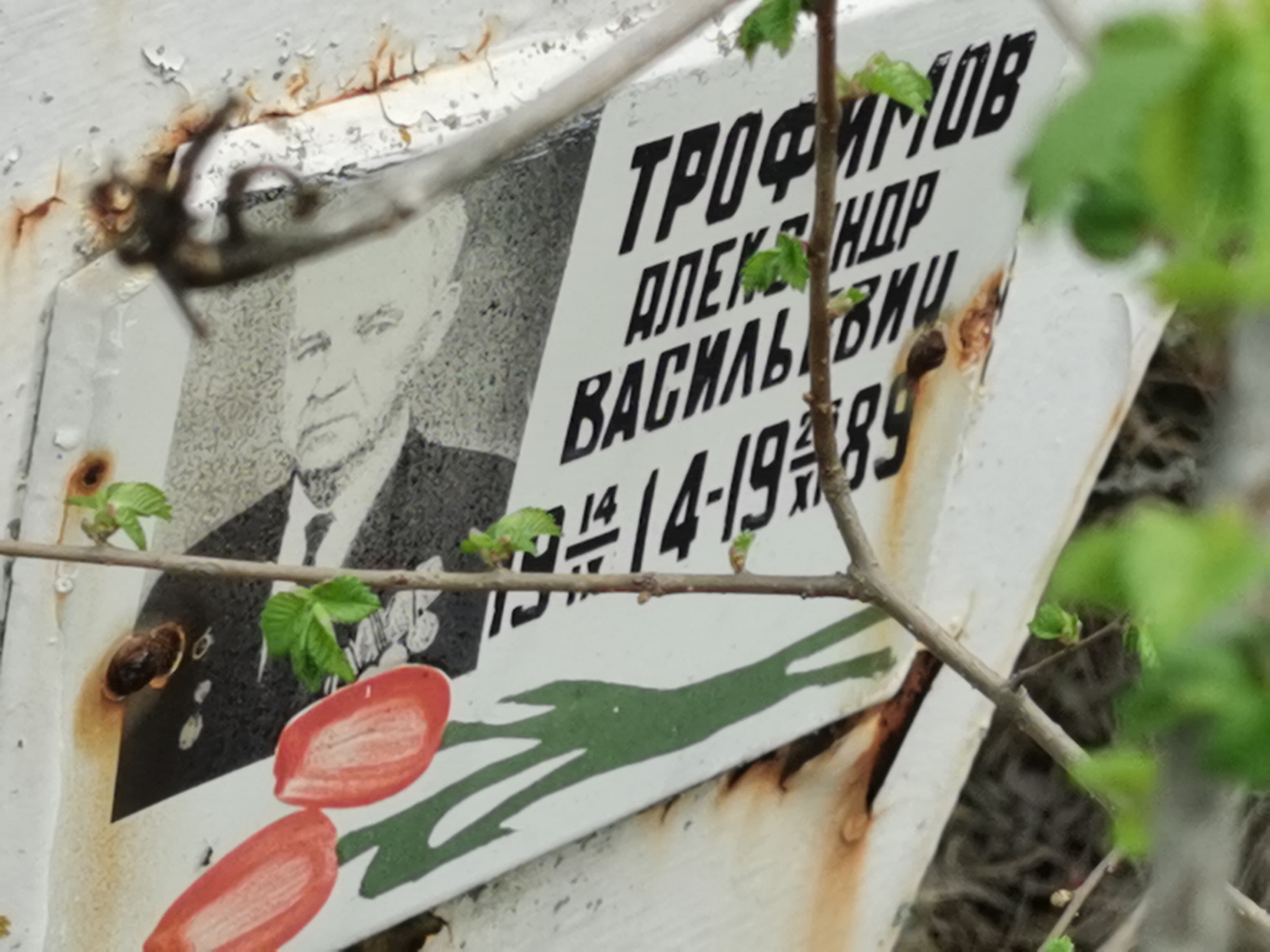 Трофимов Александр Васильевич