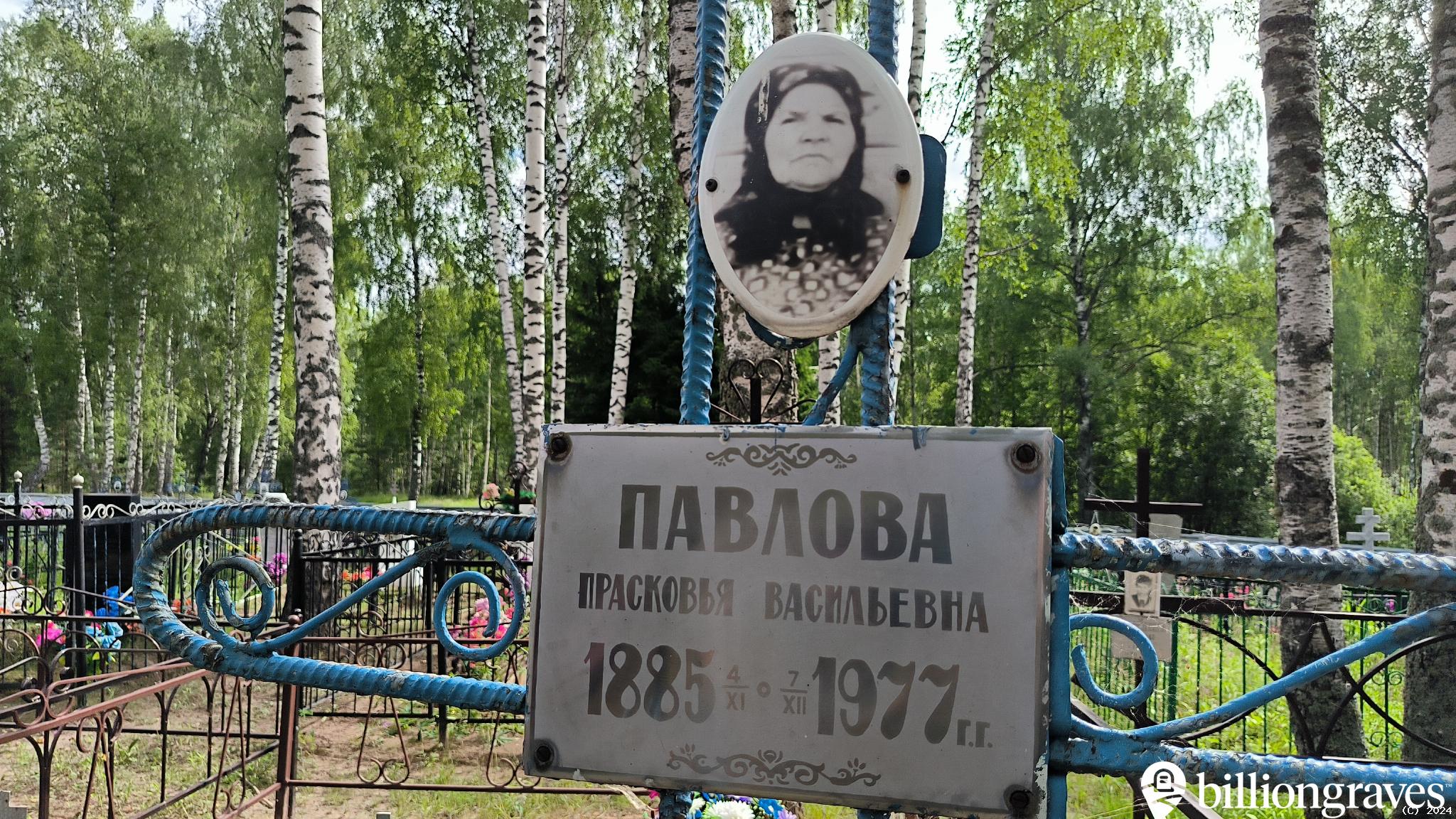 Павлова Прасковья Васильевна