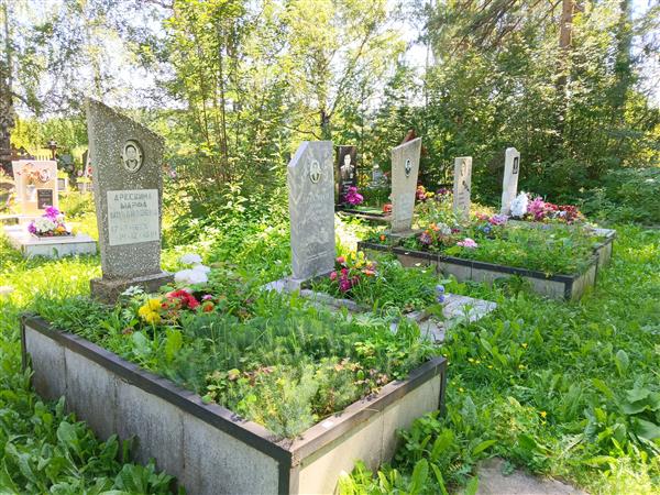 Дресвин Александр Саввич