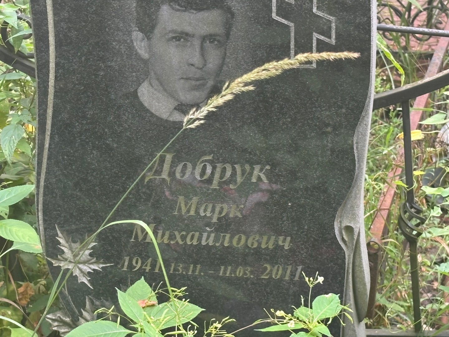 Марк Добрук Михайлович