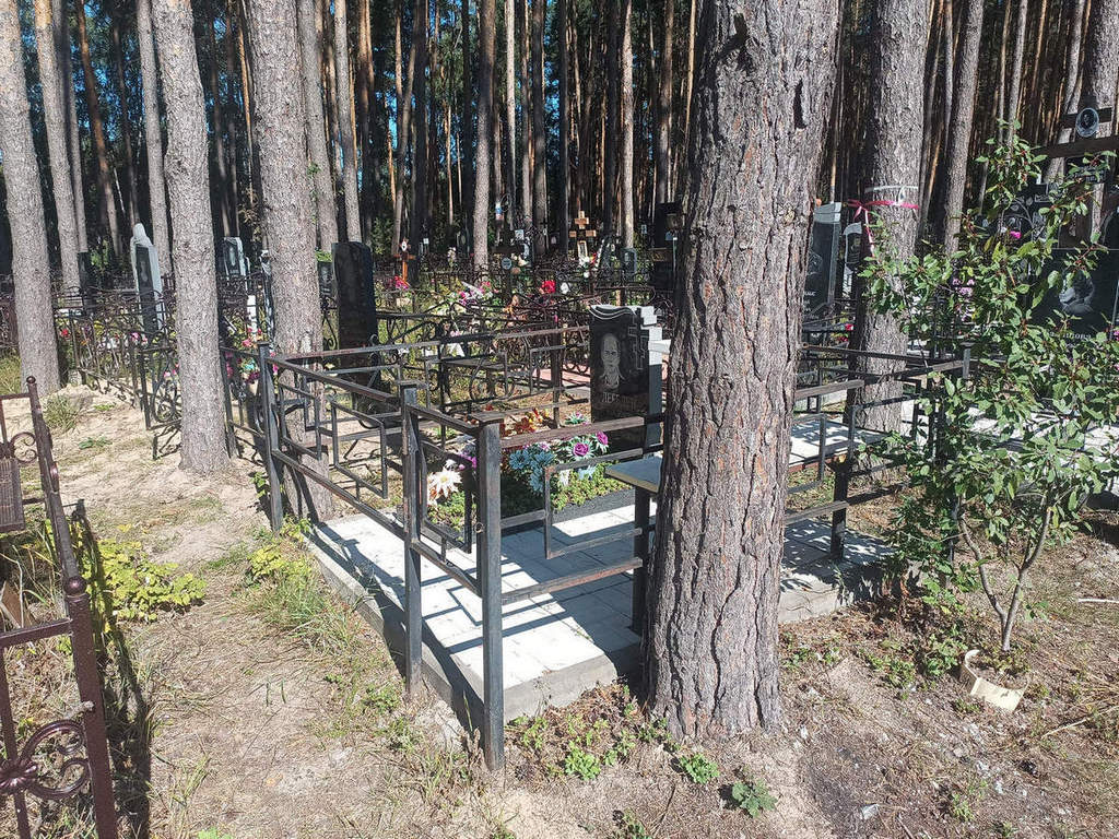Лебедев Владимир Александрович
