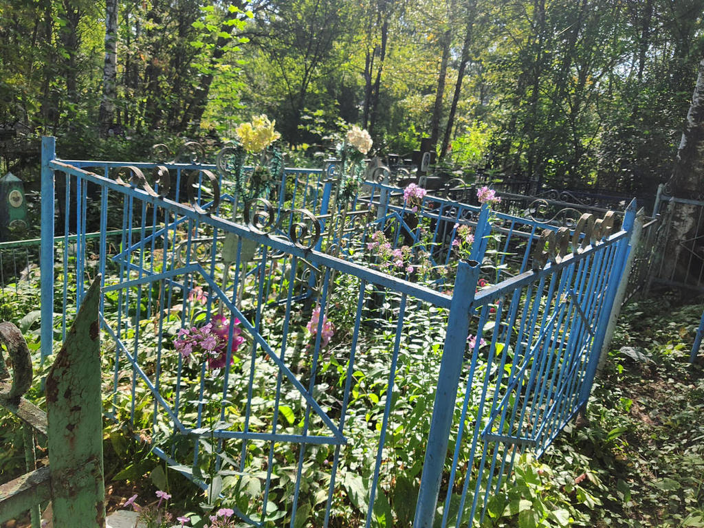Басов Николай Петрович